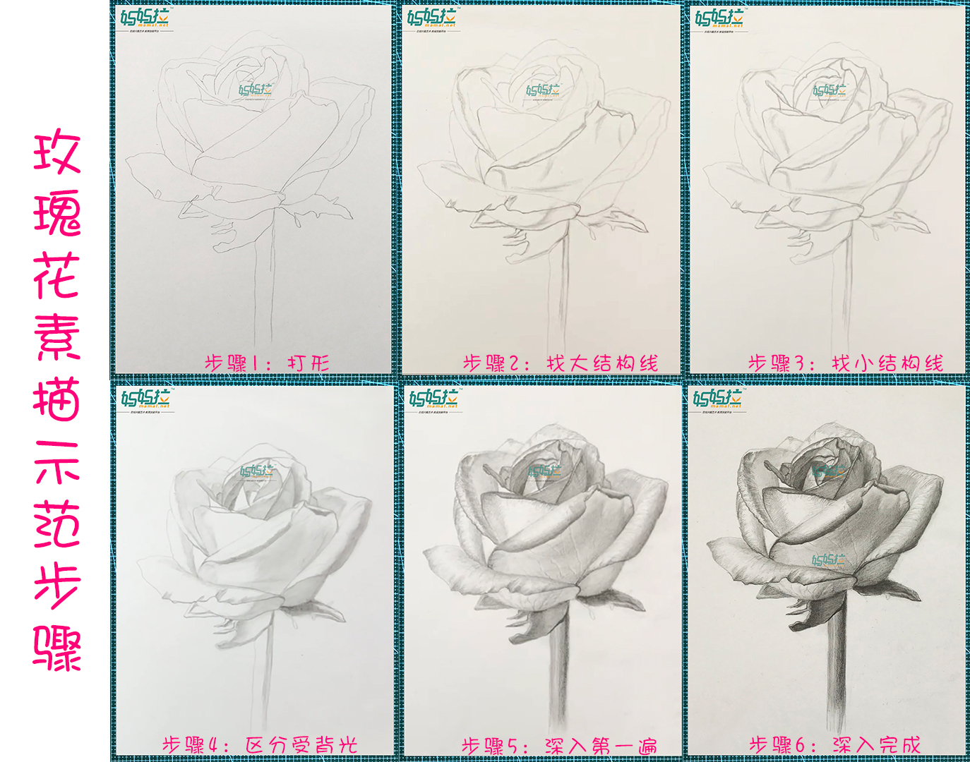 玫瑰花素描明暗关系步骤图解