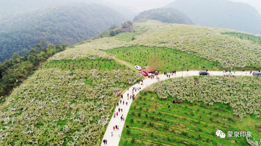 石门县第三届梨花节在蒙泉镇太浮山七四林场圆满落幕