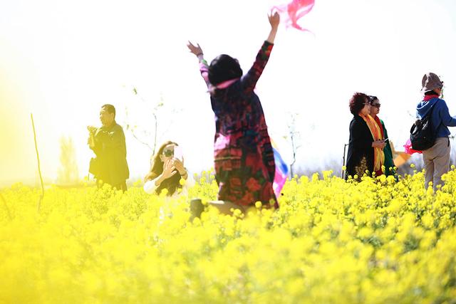 不负春光与时行:油菜花节上欣赏另外一道风景_大妈