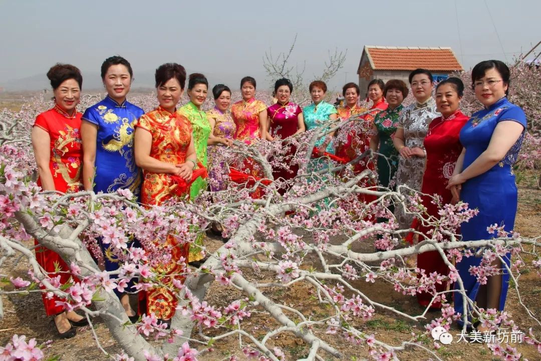 在莒南看桃花有个好去处4月3日坊前镇桃花节开幕