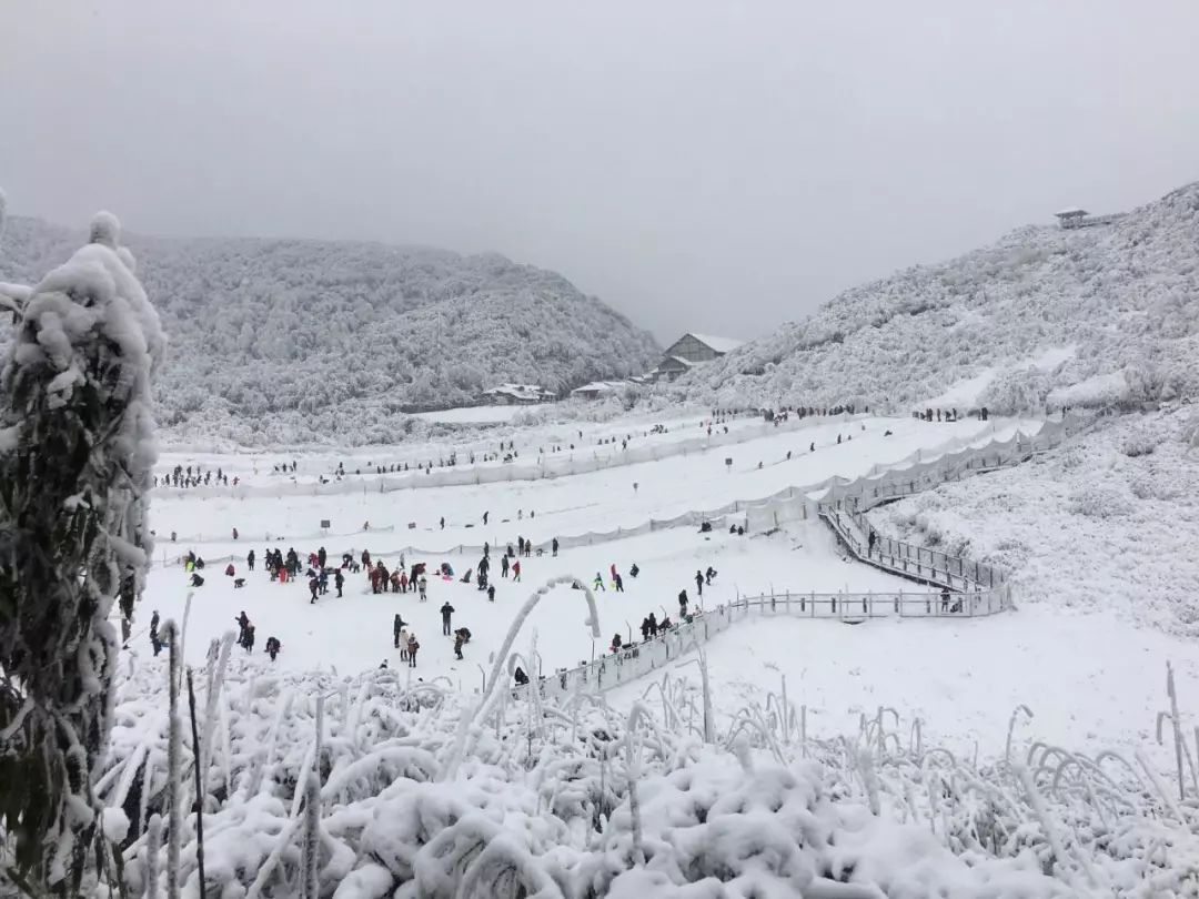 金佛山雪景 金佛山位于重庆市南川区:世界自然遗产,国家aaaaa级旅游