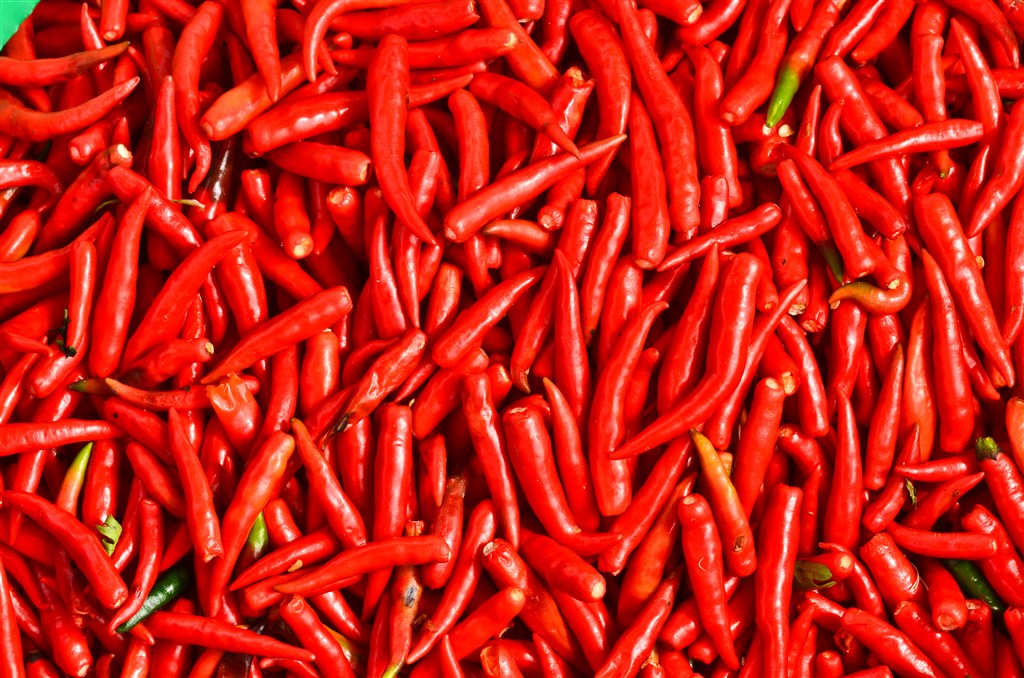 最辣椒的辣椒_世界上最辣的辣椒是什么椒