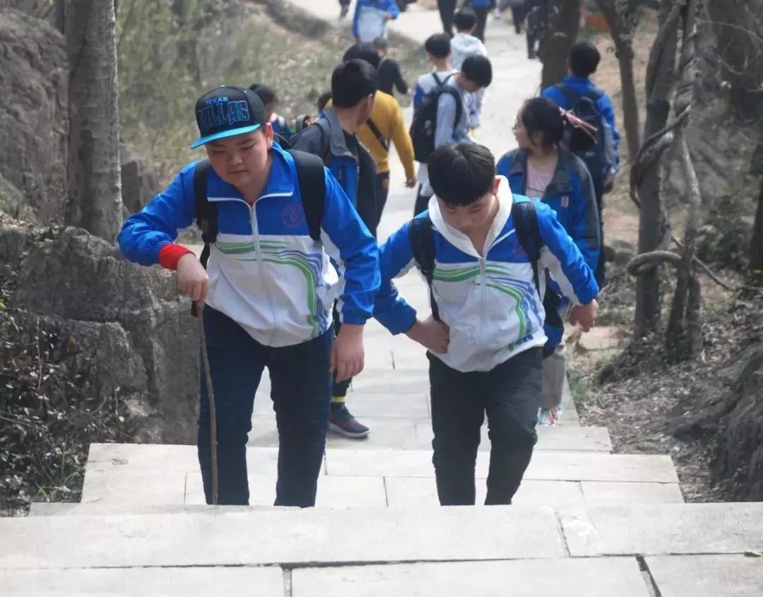 踏春赏景,乘兴学史—记精忠中学初一2019八公山研学之旅