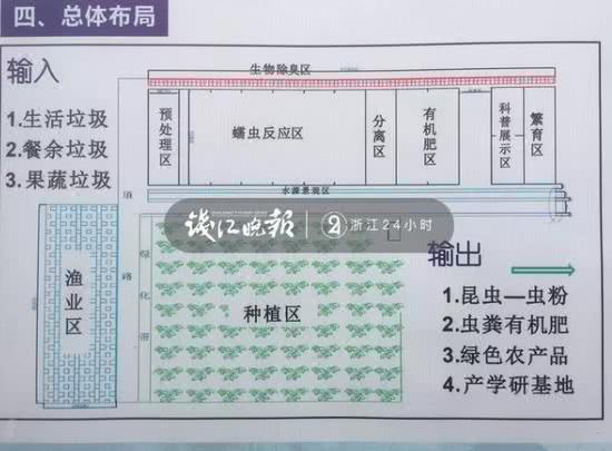 最垃圾的985_985 高校教授捡垃圾养虫,年入百万