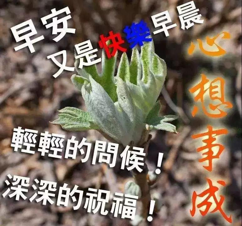 4月最新版早安祝福问候语大全,最美早安问候表情图片温馨