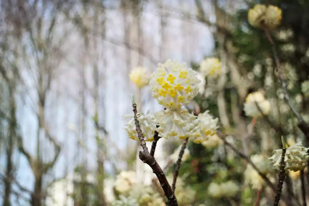 文|徐天明,肖怡雯