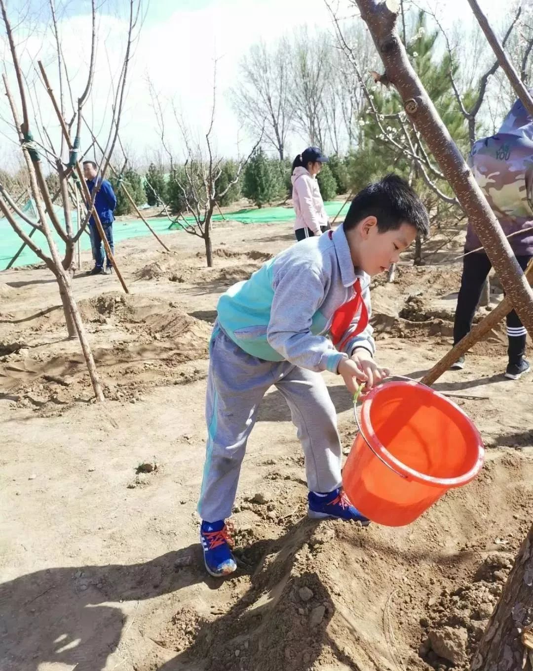 北苑小学 | 少先队爱心传递 护绿爱绿义务植树