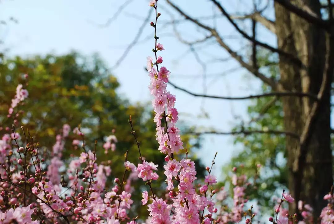 文|徐天明,肖怡雯