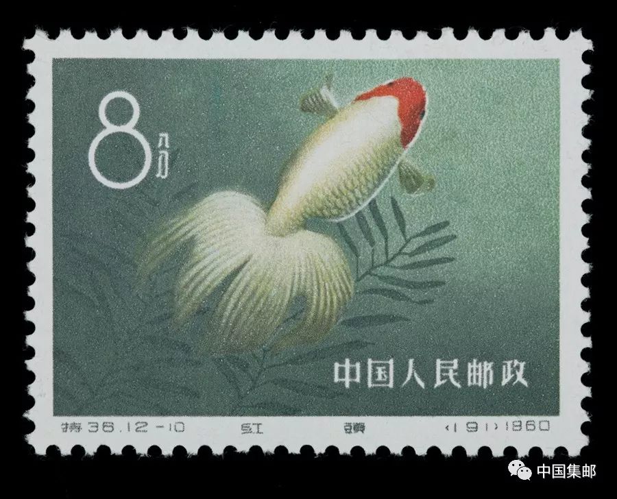 第一套动物邮票特38金鱼_手机搜狐网