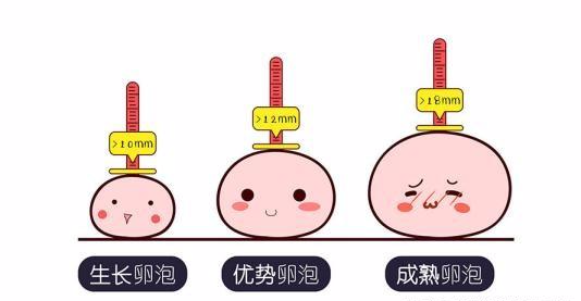 女性来月经的原理_月经停止   怀孕前的第一信号就是\