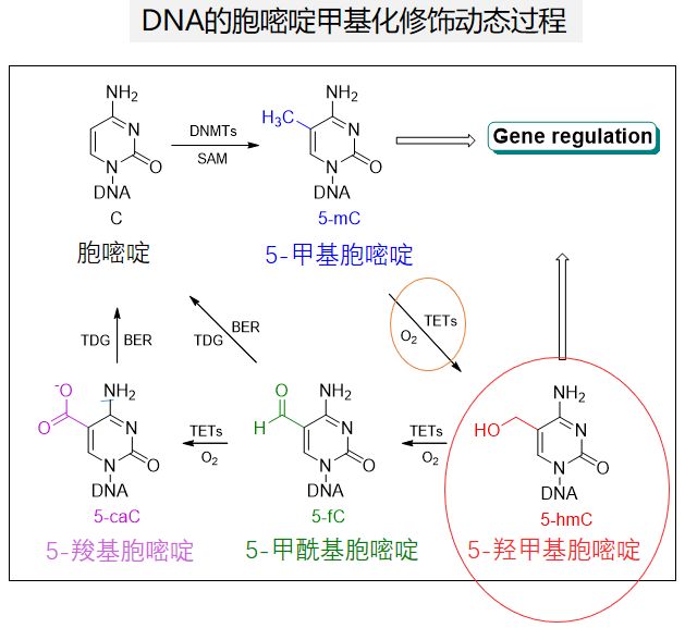 通量gdp_金融衍生品发展沿革及其与金融危机关系分析(3)