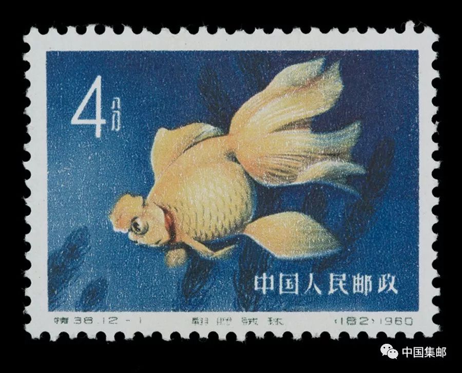 第一套动物邮票特38金鱼_手机搜狐网