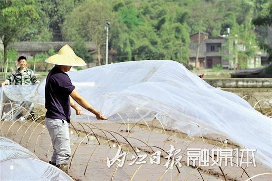 钟村婚纱照_钟幸村(3)