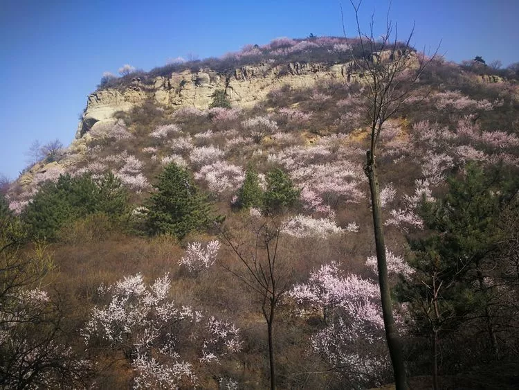 太原桃花沟——三生三世,十里桃花(超多美图) _杜儿坪