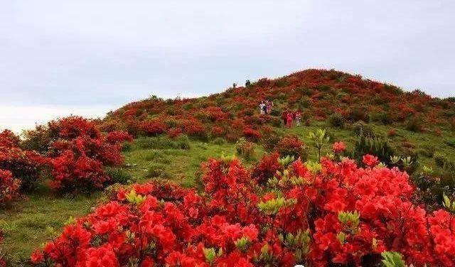 鲁山县尧人口_鲁山县库区乡尧龙湾(2)