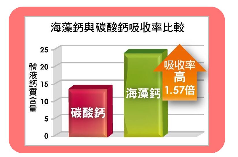 研究显示海藻钙(天然钙)比碳酸钙 传统钙)吸收率高1.57倍{2}