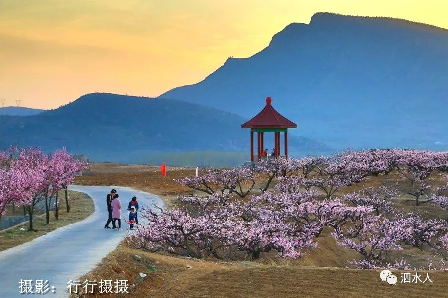 泗水新风景路过泗张星辰谷实拍桃花节开幕前的圣地桃源桃花美景及龙湾
