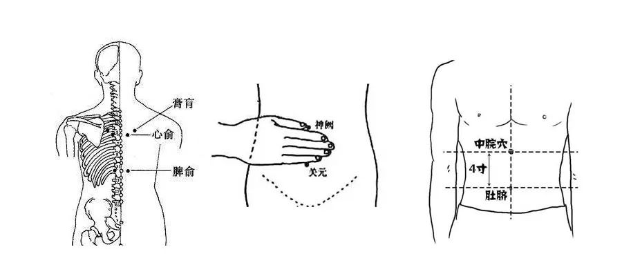 对脾虚的孩子进行艾灸的时候,建议先灸背部的 脾俞穴,再灸腹部的 中脘