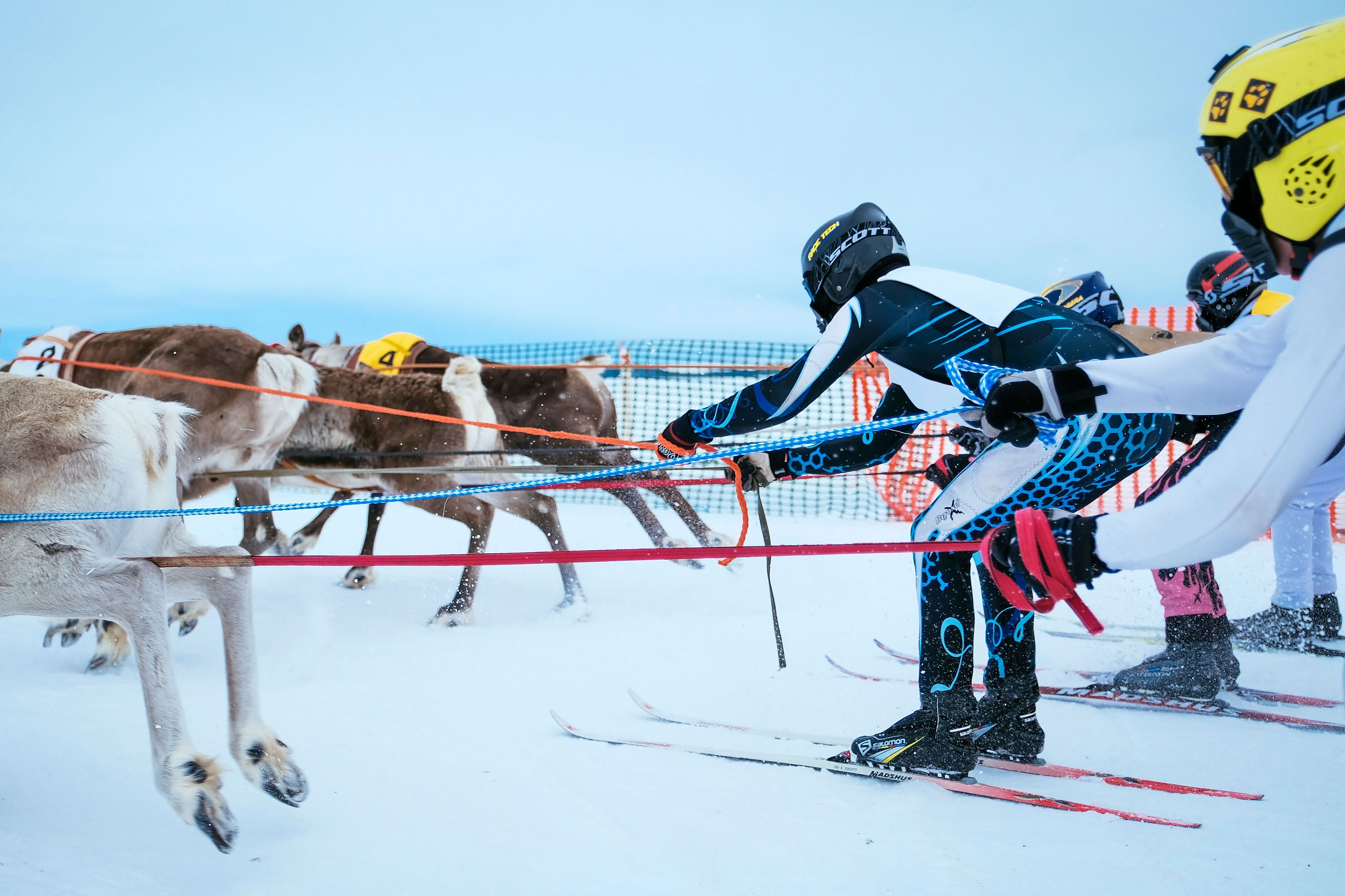 芬兰莱维如何找好玩的攻略_参加Lapland Safari的驯鹿雪橇活动_自由行攻略_无二之旅