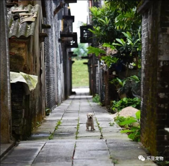 小巷偶遇猜成语_看图猜成语