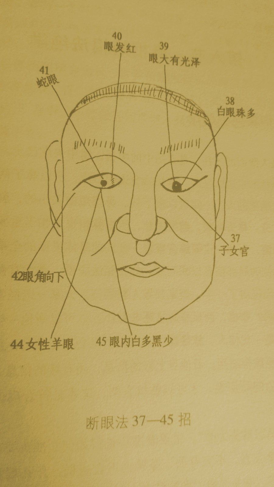 44.女人生有羊眼,必定淫荡,会发生奸情,目光散乱的人必是