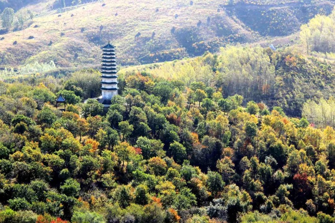 凤凰山是东北历史名山,位于舒兰市溪河镇唐屯村,山上苍松翠柏掩映着