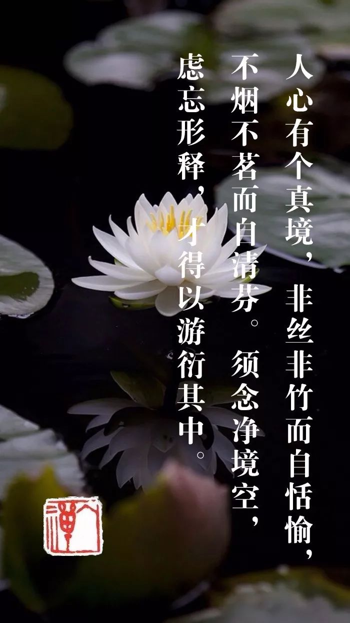 心境恬淡,绝虑忘忧|白话菜根谭