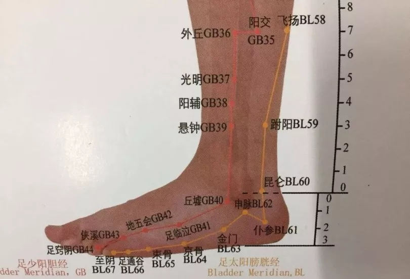 孩子,请放下你的裤腿-哈尔滨善艾堂小儿推拿_脚踝