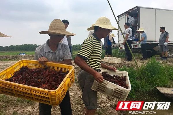 這個城市別稱「銀城」，如今卻成為「智慧之城」 旅遊 第2張