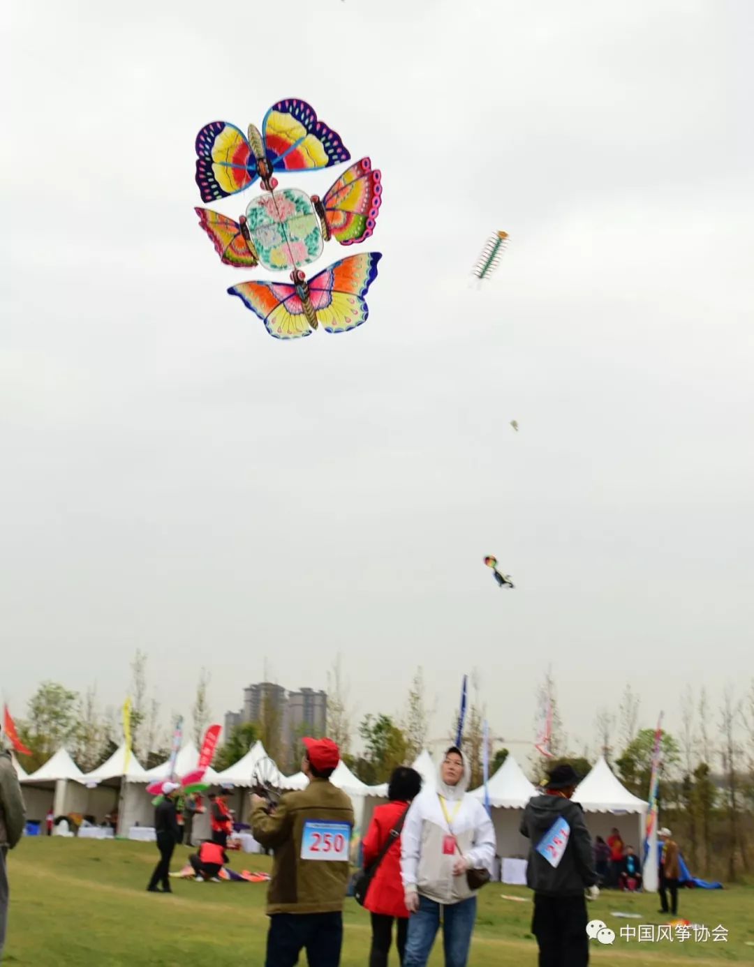 2019年国际风筝邀请赛暨全国传统风筝锦标赛在四川省崇州市羊马嘉裕