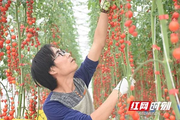 這個城市別稱「銀城」，如今卻成為「智慧之城」 旅遊 第9張