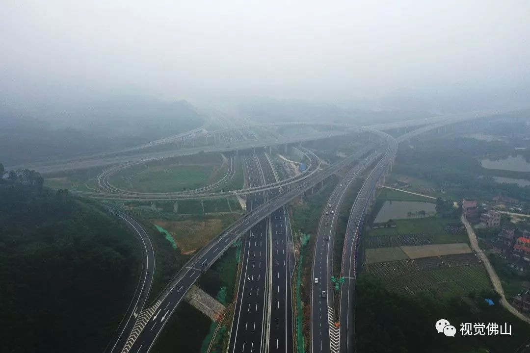 佛山有多少人口_我想回佛山 嫁到外地我后悔了