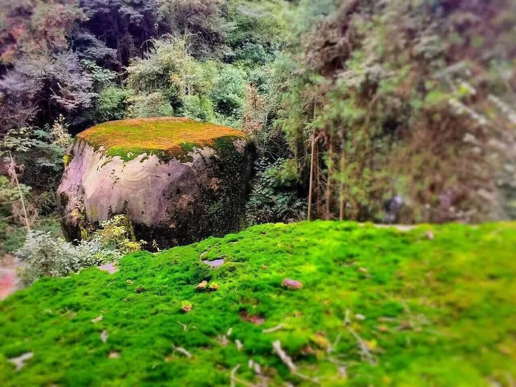 巴南区【迎龙峡:空中玻璃漂流 网红甩桥 迎龙峡峡谷】