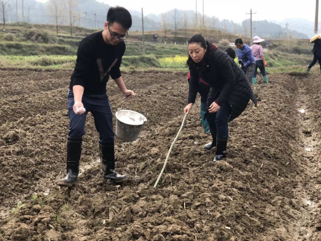 【工作动态】县妇联:开展春耕生产 助力脱贫攻坚