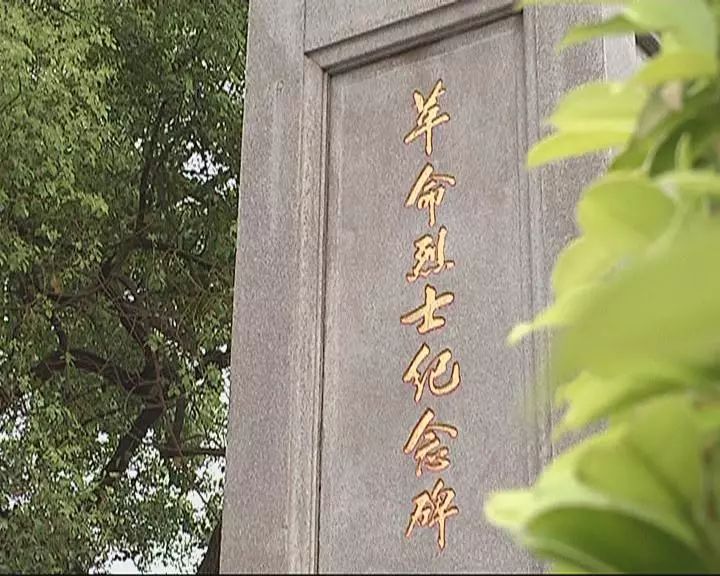 学生 吴桐:我们要勤奋学习,弘扬革命烈士这种伟大精神,刻苦锻炼,保家