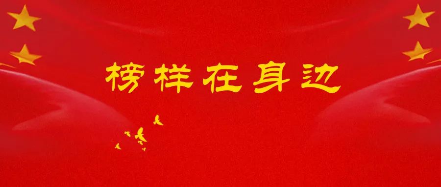 榜样在身边!54个集体获威海市"青年文明号"称号