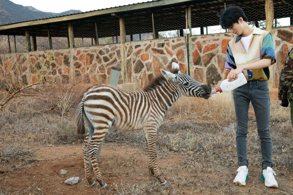 王俊凯在肯尼亚的写真曝光,和小动物互动温柔满分