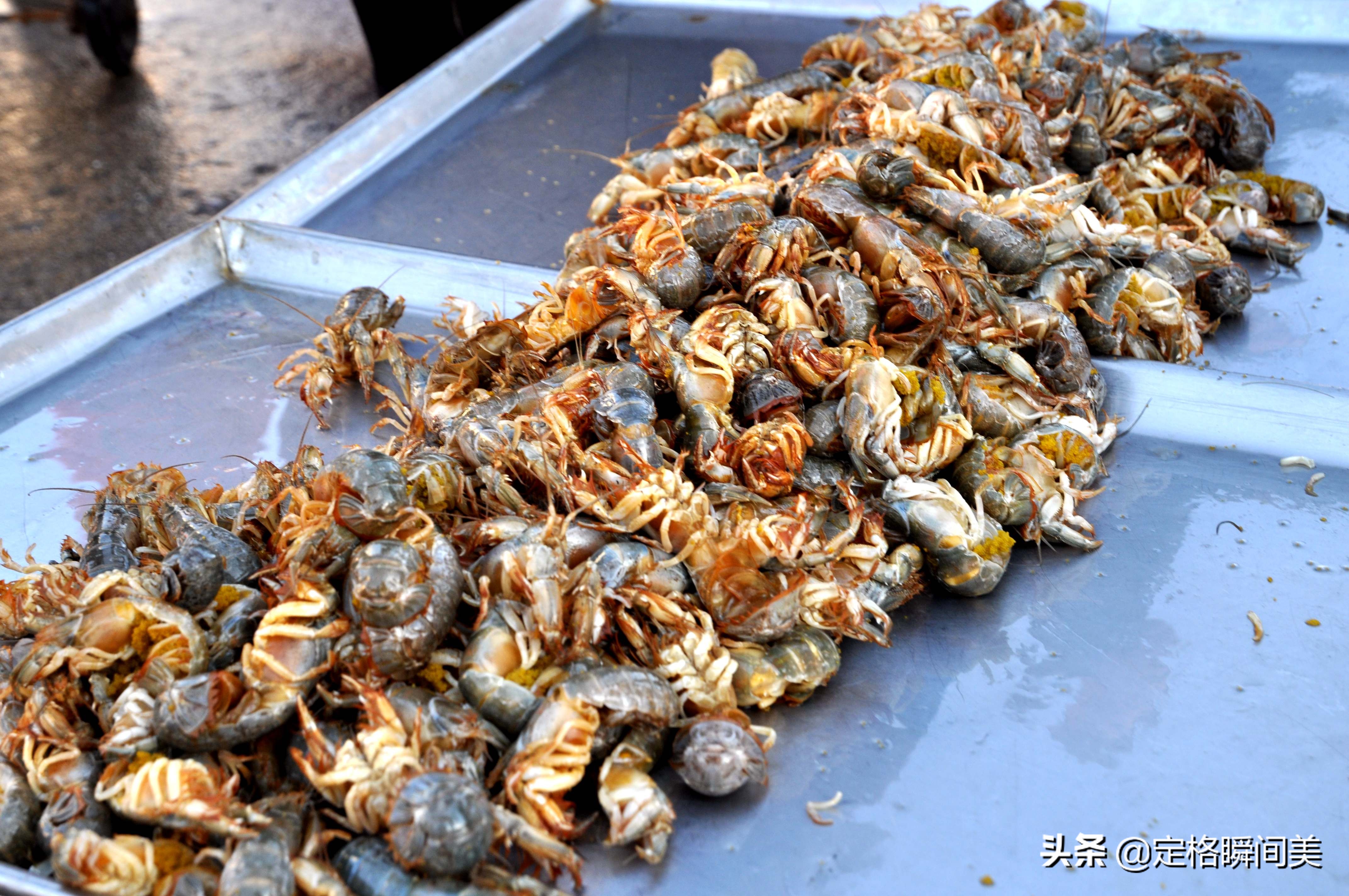 青岛早市新鲜"土"特产海蜂子50元2斤 小伙经营有道一斤赚双份钱