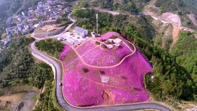 金屏人口_被全国压岁钱地图刷屏 金山人的吐槽实在太扎心