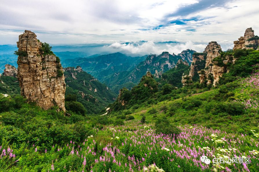 "山里dou是好风光"项目落地涞源,告诉你如何打造网红目的地!