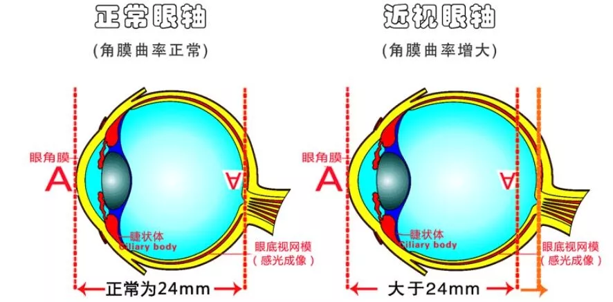 碳14阳性能自愈吗