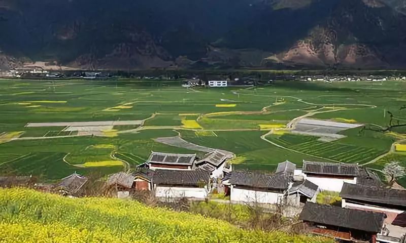 农村新增人口土地_农村人口(3)