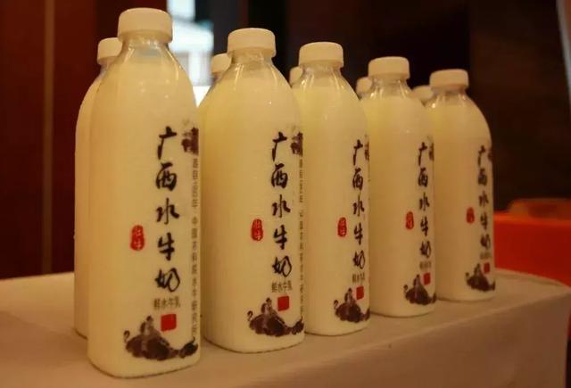 壮牛水牛乳业,广西首家原生态水牛乳业企业,东盟博览会贵宾饮品