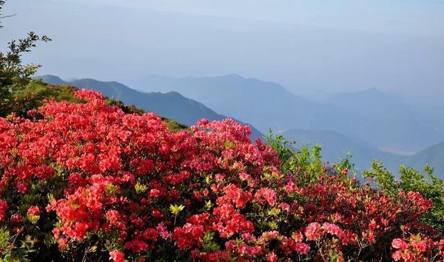 鲁山县尧人口_鲁山县库区乡尧龙湾(2)