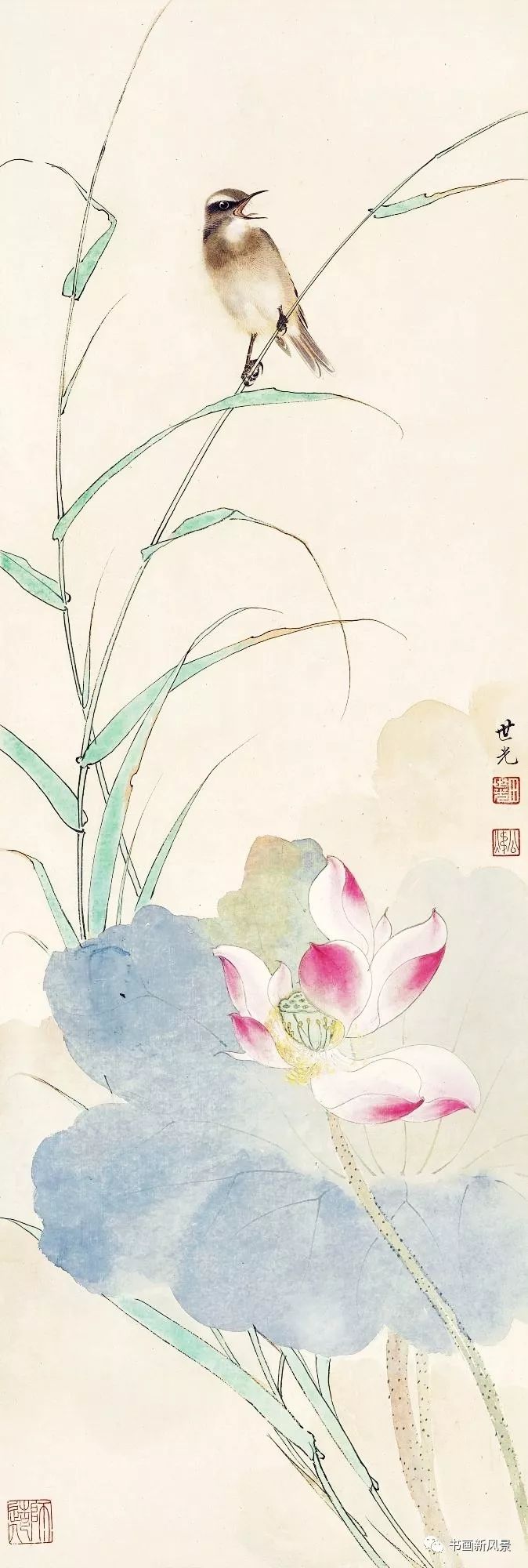 花鸟大师田世光画荷,太漂亮啦!