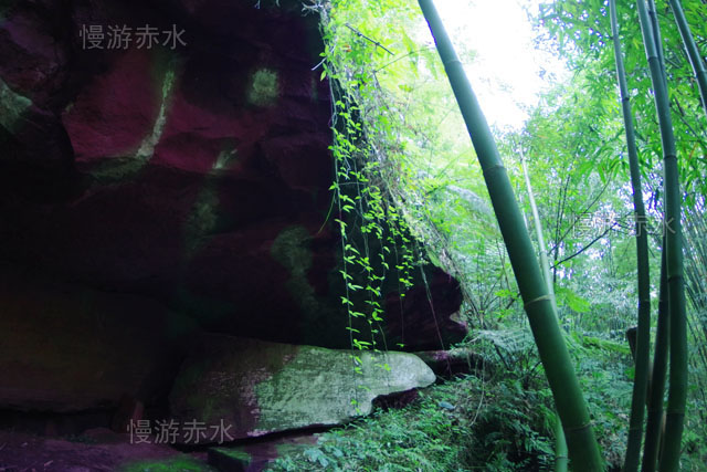 貴州赤水竹林里的神秘丹霞洞穴，聯想起電影《魔窟》，幽暗恐怖 旅遊 第2張