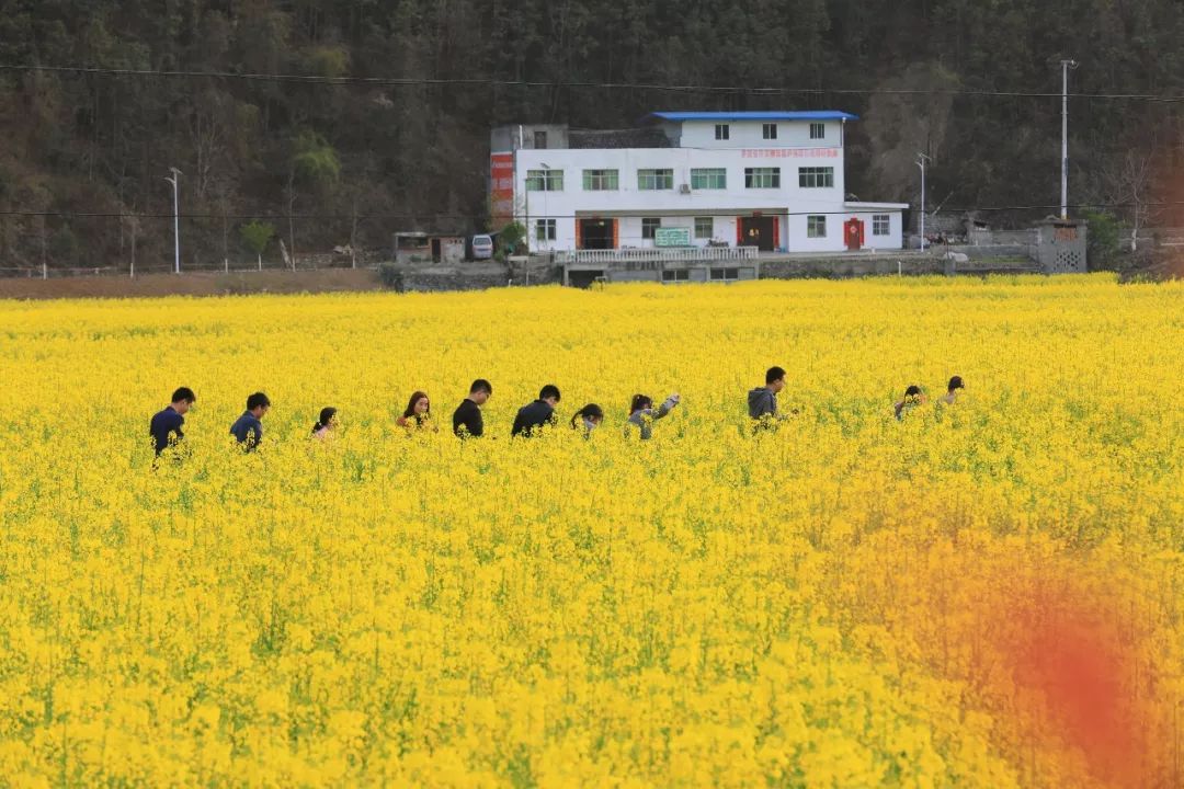 由郧西县文化和旅游局,郧西