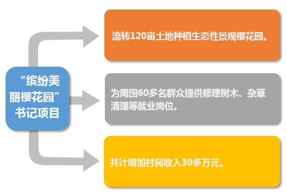 缤纷美丽樱花园"书记项目,培养了流动党员袁国洪为农村党员创业示范户