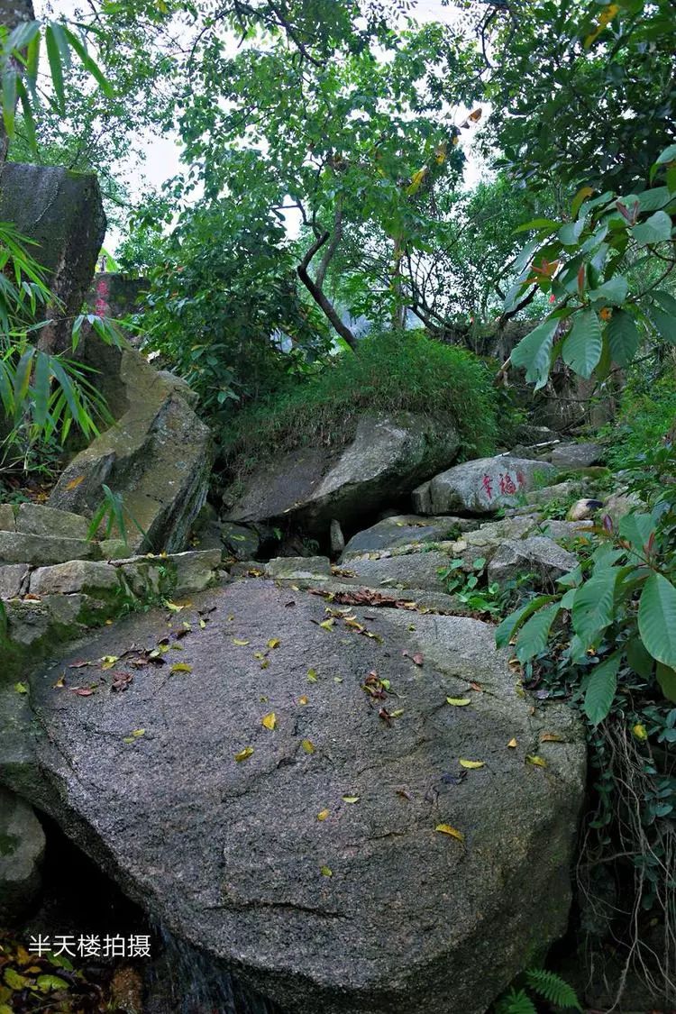 陆河共光螺洞梅园春景