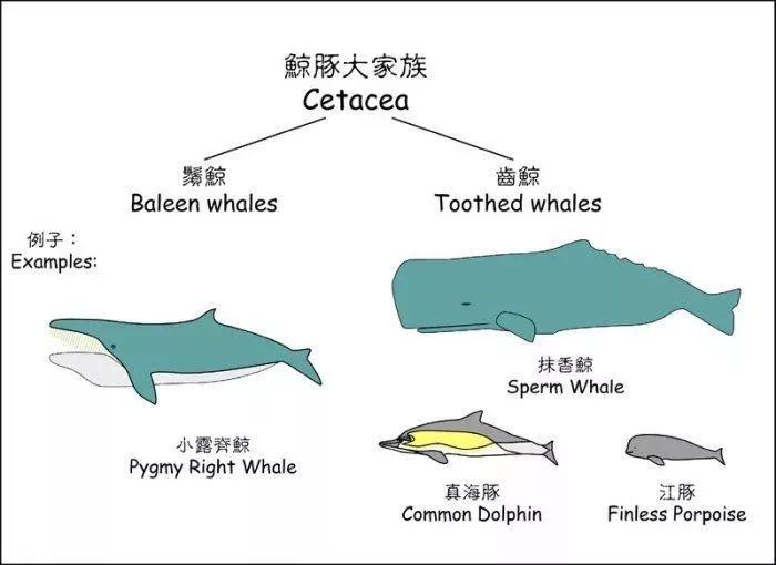 亚班牙总人口(3)